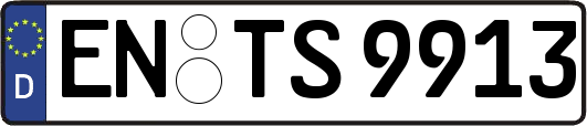 EN-TS9913