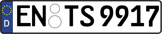EN-TS9917