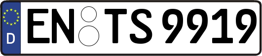 EN-TS9919
