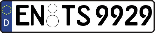 EN-TS9929