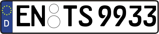 EN-TS9933
