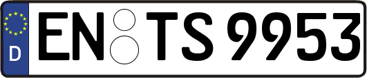 EN-TS9953