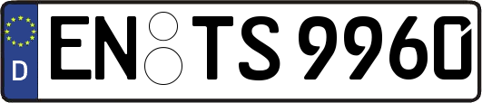 EN-TS9960