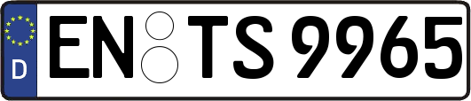 EN-TS9965