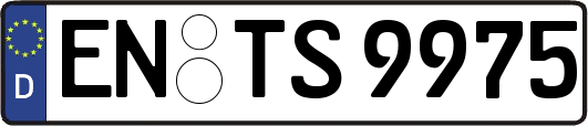 EN-TS9975