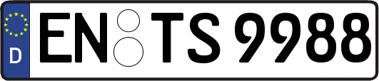 EN-TS9988