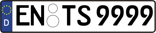 EN-TS9999