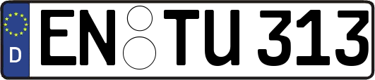 EN-TU313