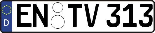 EN-TV313