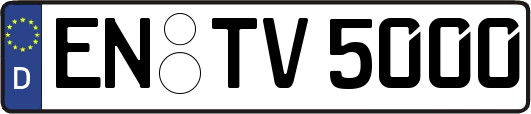 EN-TV5000