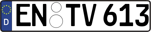 EN-TV613