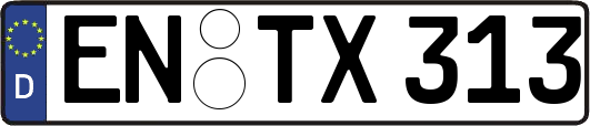 EN-TX313