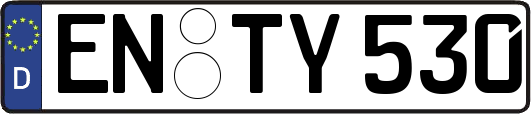 EN-TY530