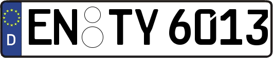 EN-TY6013