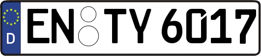 EN-TY6017