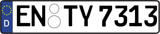 EN-TY7313