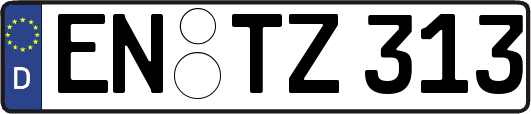 EN-TZ313