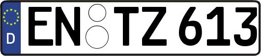 EN-TZ613