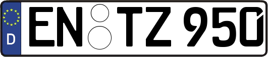 EN-TZ950