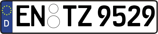 EN-TZ9529