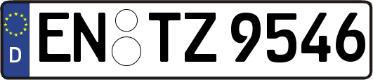 EN-TZ9546