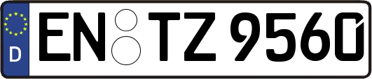 EN-TZ9560