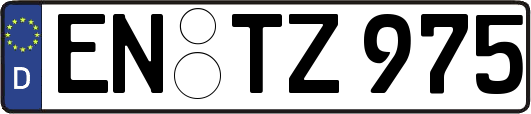 EN-TZ975