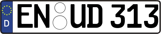 EN-UD313