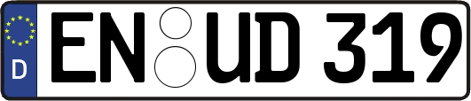 EN-UD319