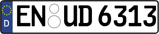 EN-UD6313