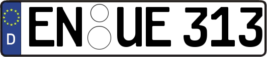 EN-UE313