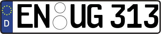 EN-UG313