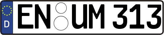 EN-UM313