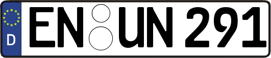 EN-UN291