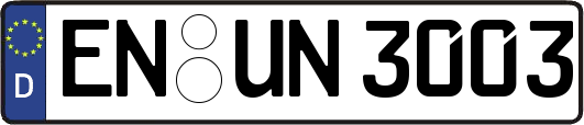 EN-UN3003