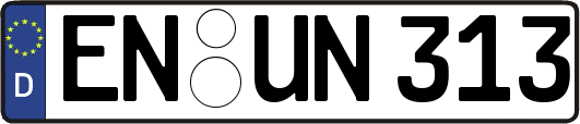 EN-UN313