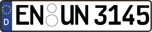 EN-UN3145
