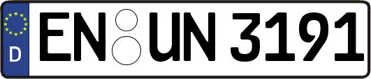 EN-UN3191