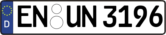 EN-UN3196