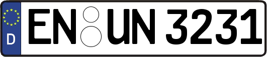 EN-UN3231