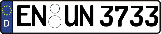 EN-UN3733
