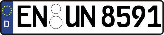 EN-UN8591