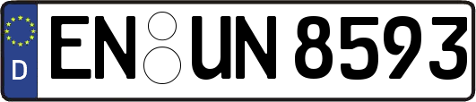 EN-UN8593
