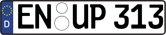 EN-UP313