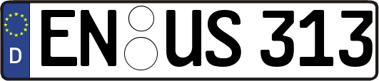 EN-US313