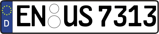 EN-US7313