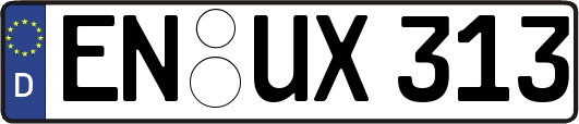 EN-UX313