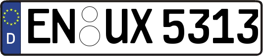 EN-UX5313