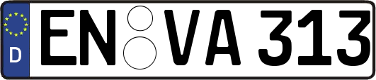 EN-VA313