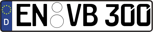 EN-VB300